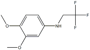 3,4-dimethoxy-N-(2,2,2-trifluoroethyl)aniline