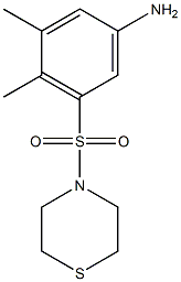  3,4-dimethyl-5-(thiomorpholine-4-sulfonyl)aniline