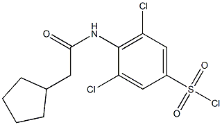 3,5-dichloro-4-(2-cyclopentylacetamido)benzene-1-sulfonyl chloride Structure