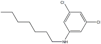 3,5-dichloro-N-heptylaniline