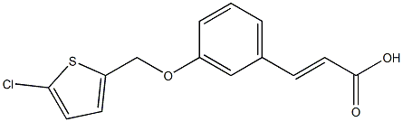 3-{3-[(5-chlorothiophen-2-yl)methoxy]phenyl}prop-2-enoic acid Structure