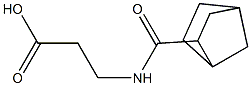 3-{bicyclo[2.2.1]heptan-2-ylformamido}propanoic acid