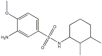 3-amino-N-(2,3-dimethylcyclohexyl)-4-methoxybenzene-1-sulfonamide Struktur