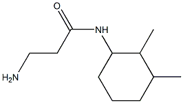 3-amino-N-(2,3-dimethylcyclohexyl)propanamide 结构式