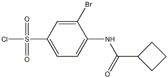 3-bromo-4-cyclobutaneamidobenzene-1-sulfonyl chloride Structure