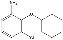 3-chloro-2-(cyclohexyloxy)aniline,,结构式