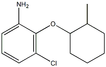 3-chloro-2-[(2-methylcyclohexyl)oxy]aniline Structure