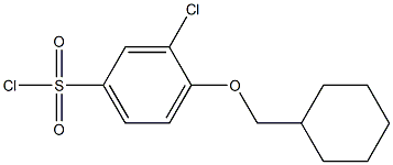 3-chloro-4-(cyclohexylmethoxy)benzene-1-sulfonyl chloride