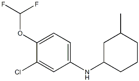 3-chloro-4-(difluoromethoxy)-N-(3-methylcyclohexyl)aniline,,结构式