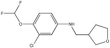 3-chloro-4-(difluoromethoxy)-N-(oxolan-3-ylmethyl)aniline