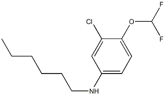  3-chloro-4-(difluoromethoxy)-N-hexylaniline