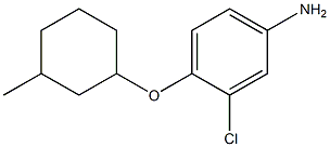 3-chloro-4-[(3-methylcyclohexyl)oxy]aniline