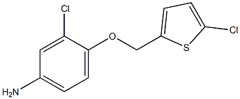 3-chloro-4-[(5-chlorothiophen-2-yl)methoxy]aniline