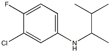 3-chloro-4-fluoro-N-(3-methylbutan-2-yl)aniline Structure