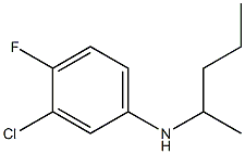 3-chloro-4-fluoro-N-(pentan-2-yl)aniline,,结构式