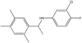 3-chloro-4-fluoro-N-[1-(2,4,5-trimethylphenyl)ethyl]aniline 化学構造式