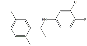  3-chloro-4-fluoro-N-[1-(2,4,5-trimethylphenyl)ethyl]aniline