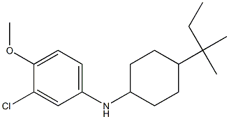 3-chloro-4-methoxy-N-[4-(2-methylbutan-2-yl)cyclohexyl]aniline