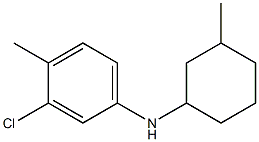 3-chloro-4-methyl-N-(3-methylcyclohexyl)aniline Structure