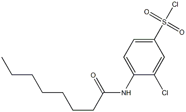 3-chloro-4-octanamidobenzene-1-sulfonyl chloride