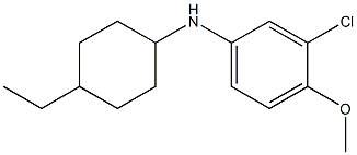 3-chloro-N-(4-ethylcyclohexyl)-4-methoxyaniline Struktur