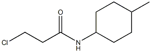 3-chloro-N-(4-methylcyclohexyl)propanamide Structure