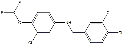 3-chloro-N-[(3,4-dichlorophenyl)methyl]-4-(difluoromethoxy)aniline 结构式