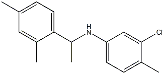  3-chloro-N-[1-(2,4-dimethylphenyl)ethyl]-4-methylaniline