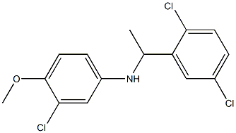3-chloro-N-[1-(2,5-dichlorophenyl)ethyl]-4-methoxyaniline,,结构式