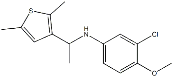 3-chloro-N-[1-(2,5-dimethylthiophen-3-yl)ethyl]-4-methoxyaniline