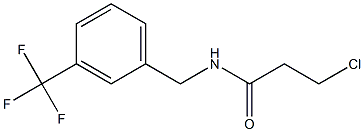 3-chloro-N-{[3-(trifluoromethyl)phenyl]methyl}propanamide