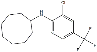 3-chloro-N-cyclooctyl-5-(trifluoromethyl)pyridin-2-amine,,结构式