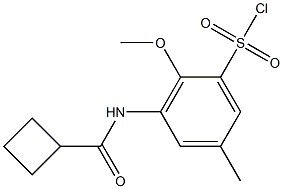 3-cyclobutaneamido-2-methoxy-5-methylbenzene-1-sulfonyl chloride Struktur