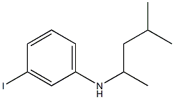 3-iodo-N-(4-methylpentan-2-yl)aniline Struktur