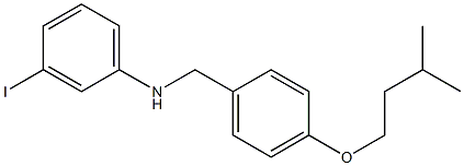 3-iodo-N-{[4-(3-methylbutoxy)phenyl]methyl}aniline 化学構造式