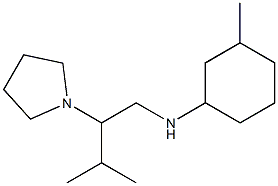 3-methyl-N-[3-methyl-2-(pyrrolidin-1-yl)butyl]cyclohexan-1-amine Struktur