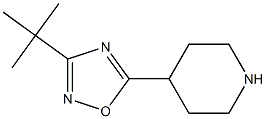 3-tert-butyl-5-(piperidin-4-yl)-1,2,4-oxadiazole Structure