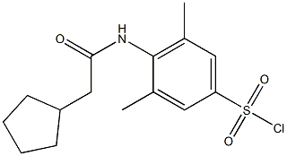 4-(2-cyclopentylacetamido)-3,5-dimethylbenzene-1-sulfonyl chloride 化学構造式