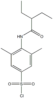 4-(2-ethylbutanamido)-3,5-dimethylbenzene-1-sulfonyl chloride,,结构式