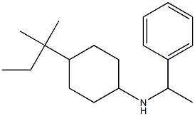 4-(2-methylbutan-2-yl)-N-(1-phenylethyl)cyclohexan-1-amine Structure