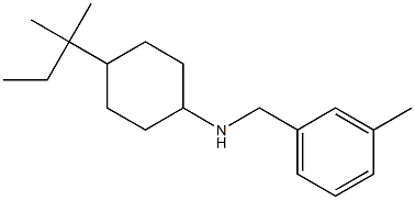 4-(2-methylbutan-2-yl)-N-[(3-methylphenyl)methyl]cyclohexan-1-amine,,结构式
