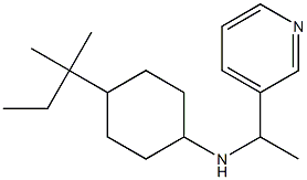 4-(2-methylbutan-2-yl)-N-[1-(pyridin-3-yl)ethyl]cyclohexan-1-amine|