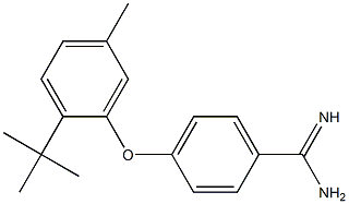 4-(2-tert-butyl-5-methylphenoxy)benzene-1-carboximidamide 结构式