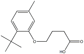 4-(2-tert-butyl-5-methylphenoxy)butanoic acid 结构式