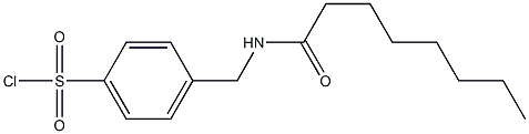 4-(octanamidomethyl)benzene-1-sulfonyl chloride Structure