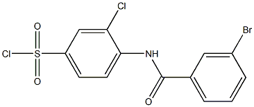 4-[(3-bromobenzene)amido]-3-chlorobenzene-1-sulfonyl chloride,,结构式