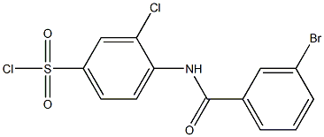 4-[(3-bromobenzene)amido]-3-chlorobenzene-1-sulfonyl chloride