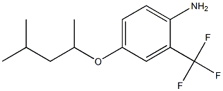 4-[(4-methylpentan-2-yl)oxy]-2-(trifluoromethyl)aniline 化学構造式