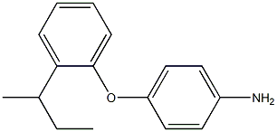 4-[2-(butan-2-yl)phenoxy]aniline 化学構造式