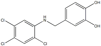 4-{[(2,4,5-trichlorophenyl)amino]methyl}benzene-1,2-diol